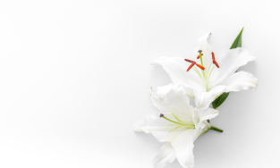 Anthyashree Funeral Services, Bangalore